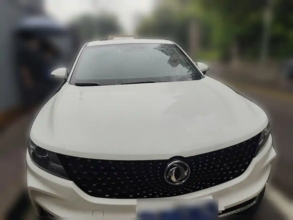 Fengguang Fengguang ix5 — миниатюра 23