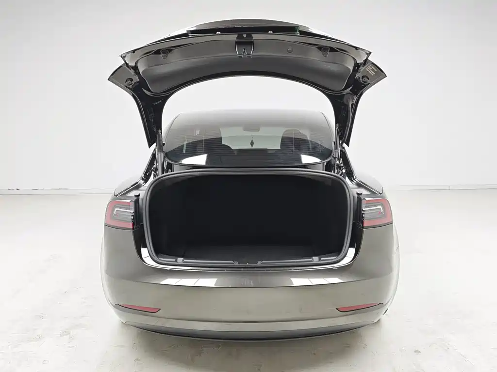 Tesla Model 3 — миниатюра 10