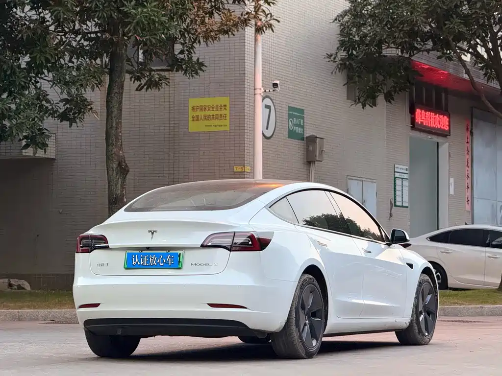 Tesla Model 3 — миниатюра 4