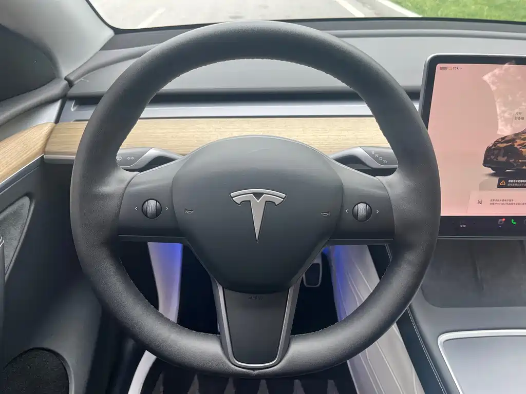 Tesla Model Y — миниатюра 5