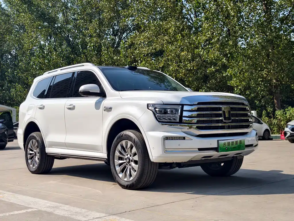 Tank Tank 500 New Energy — миниатюра 8