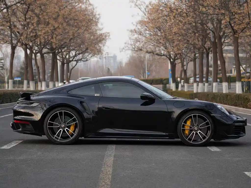 Porsche 911 — миниатюра 8