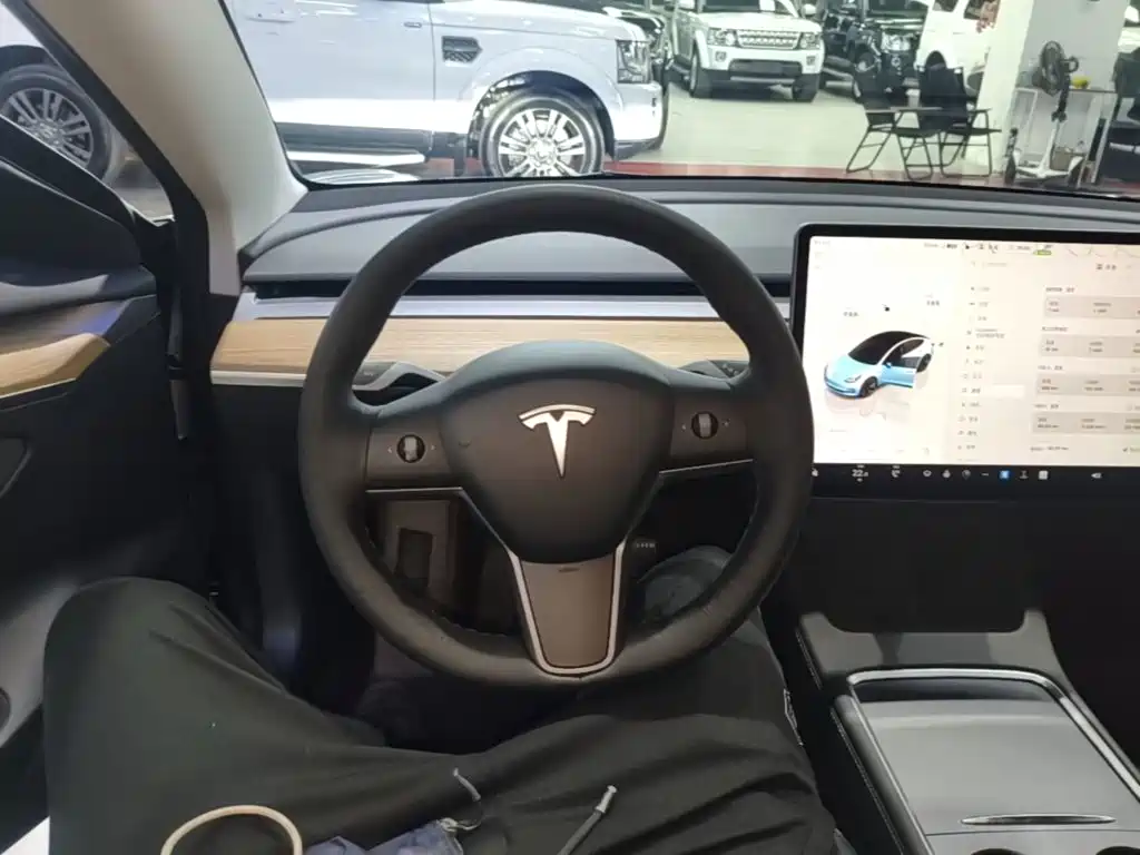 Tesla Model 3 — миниатюра 11
