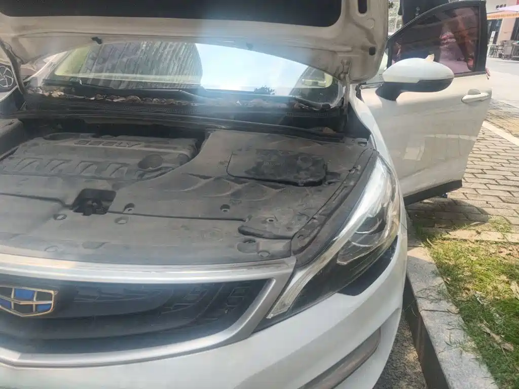 Geely Emgrand GS — миниатюра 21