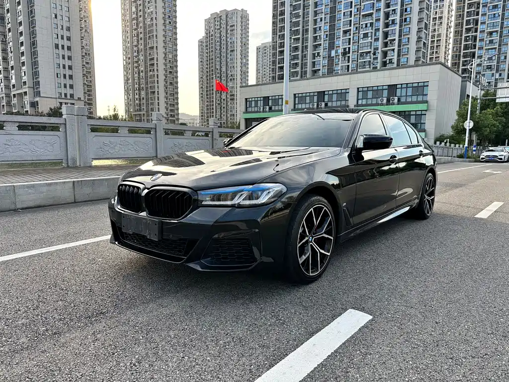 BMW 5 Series — миниатюра 2