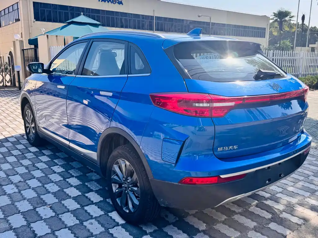 WM Motor EX5 — миниатюра 6