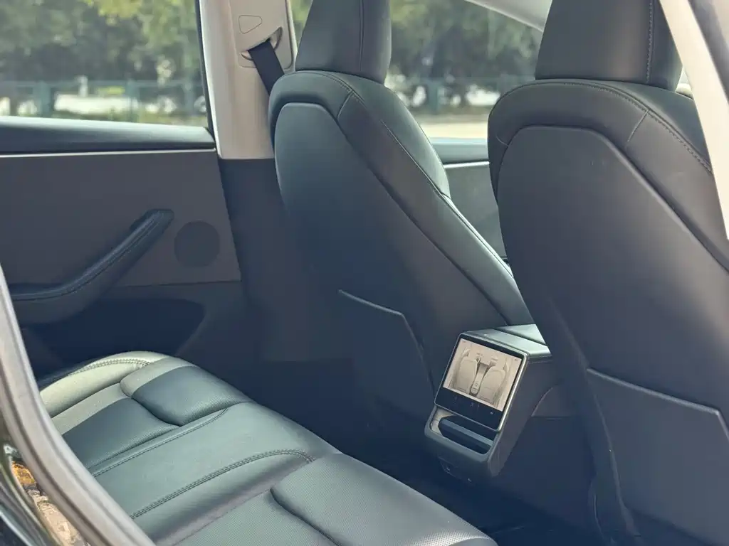 Tesla Model 3 — миниатюра 8