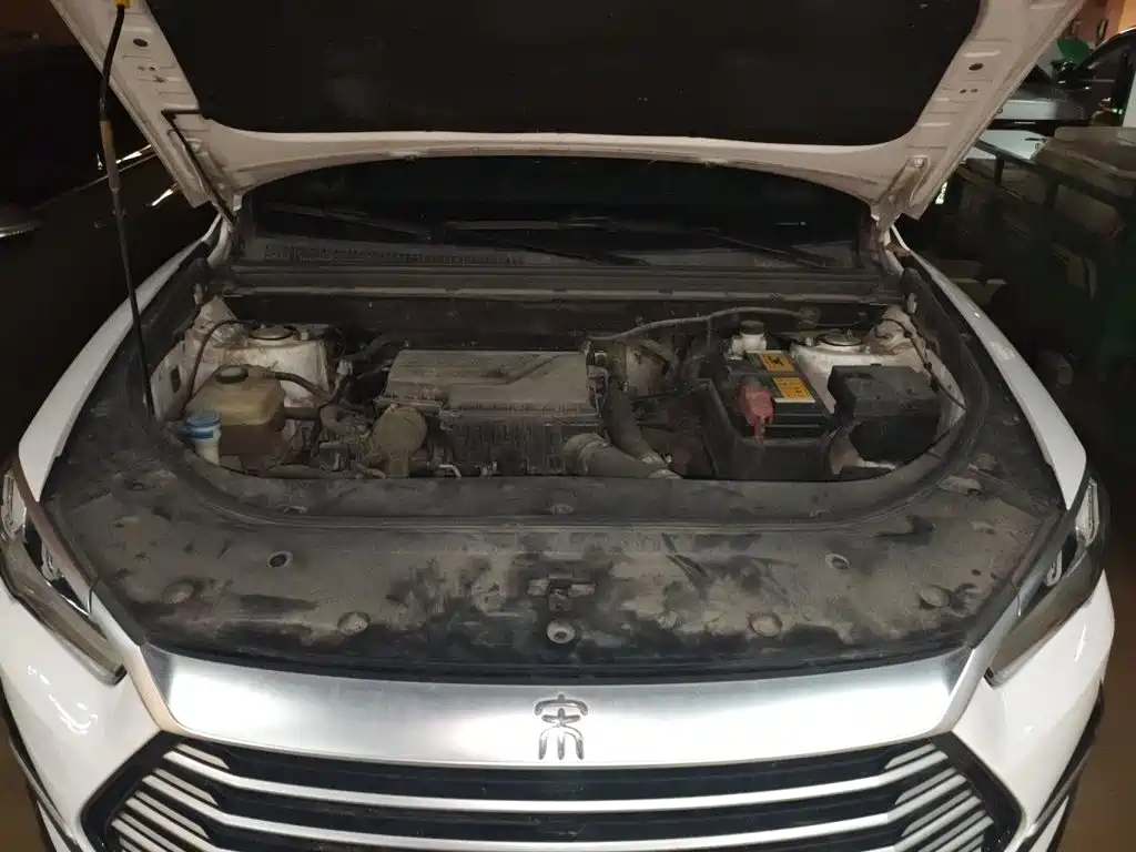 BYD Pro — миниатюра 11