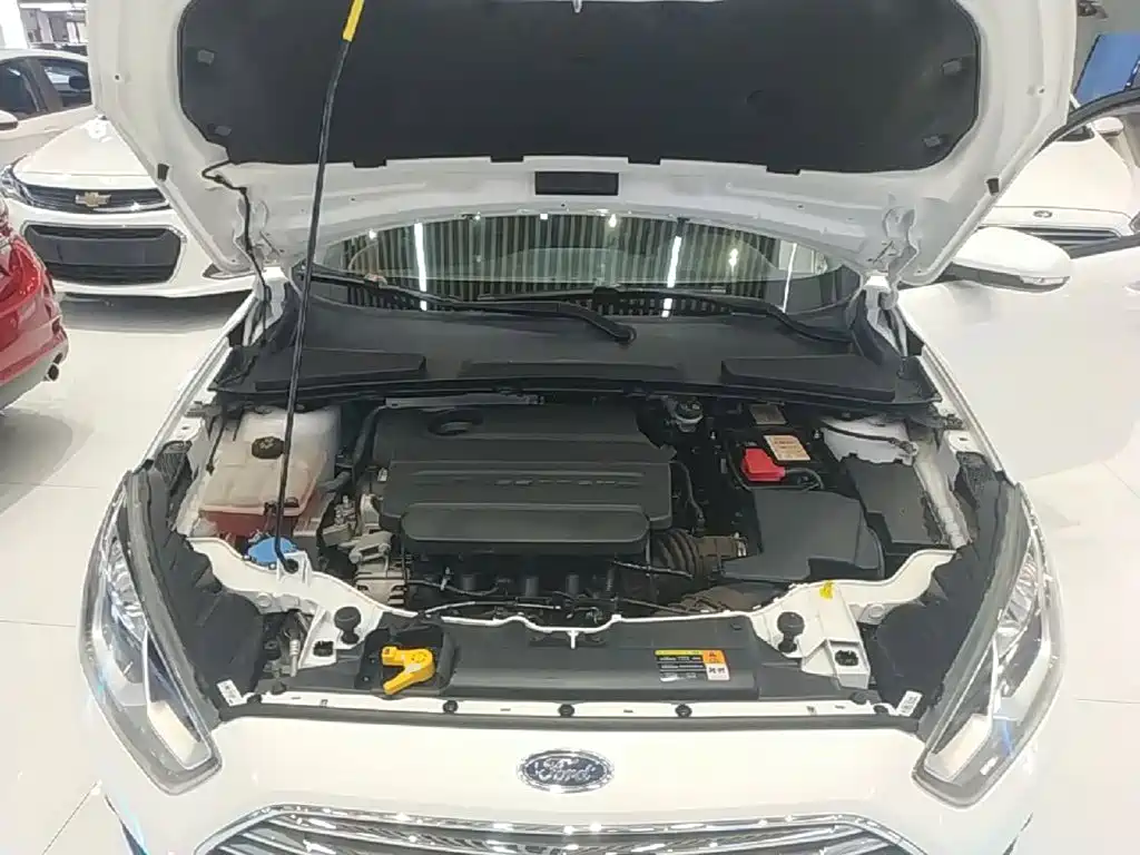 Ford Escort — миниатюра 20