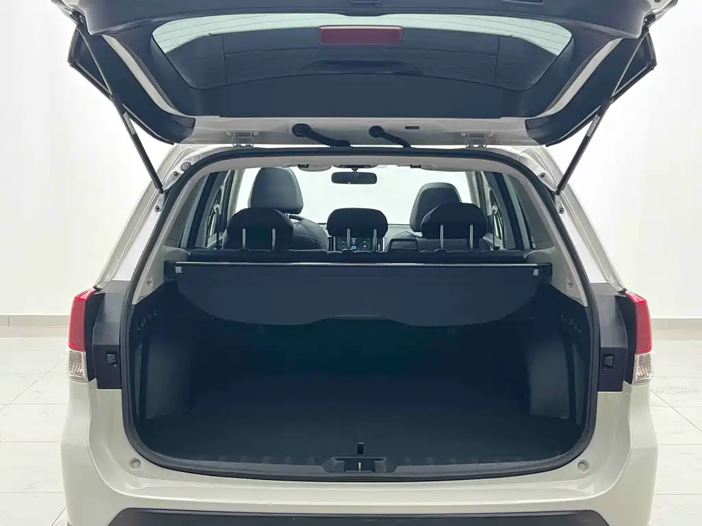 Subaru Forester — миниатюра 12
