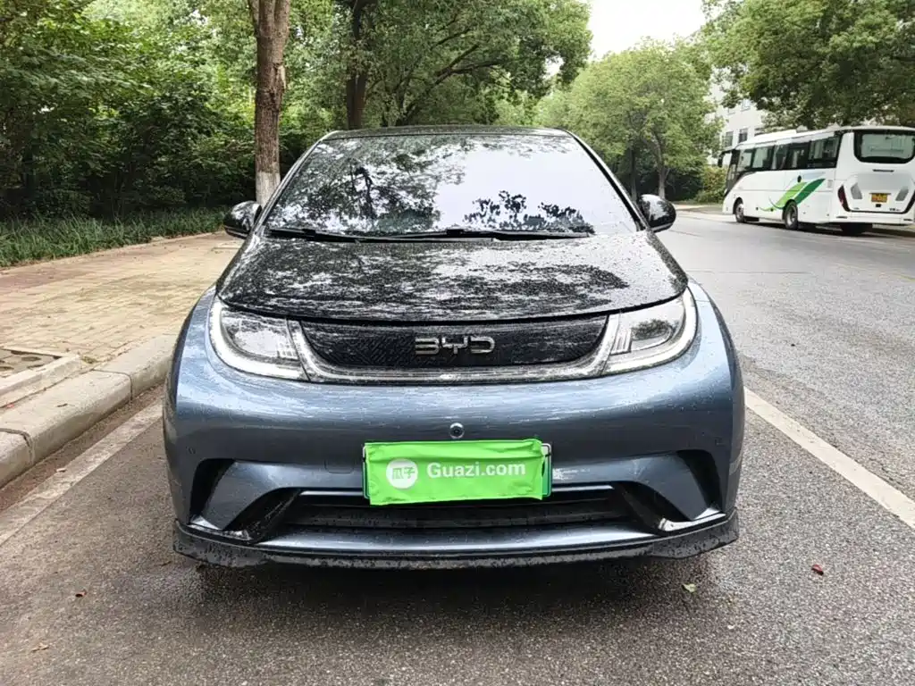 BYD Dolphin — миниатюра 3