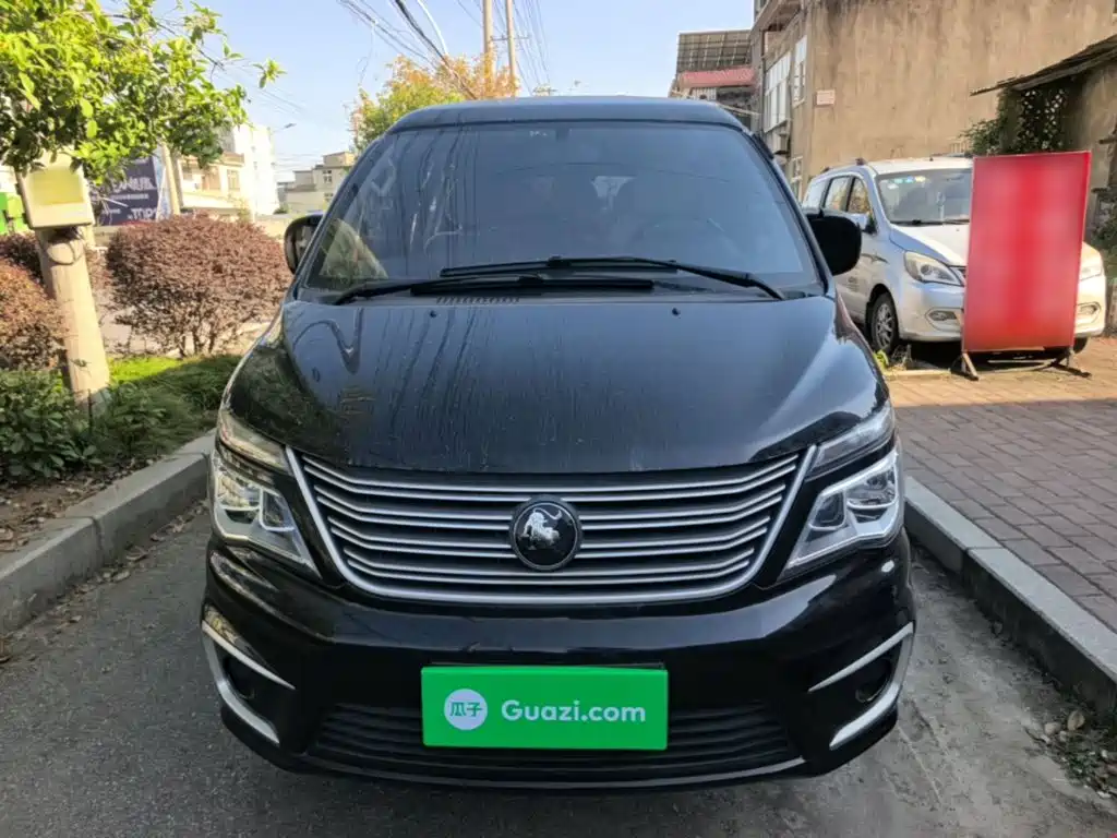 Fengxing Lingzhi — миниатюра 3
