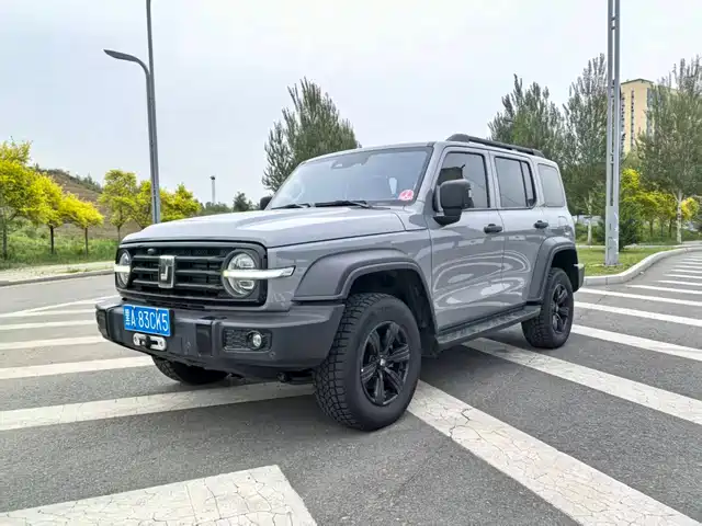 2021 TANK 300