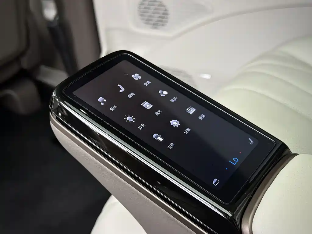 Denza Denza D9 — миниатюра 3
