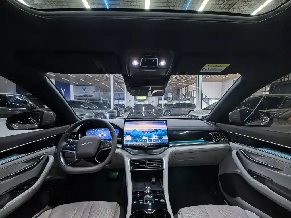 BYD PLUS New Energy — миниатюра 10