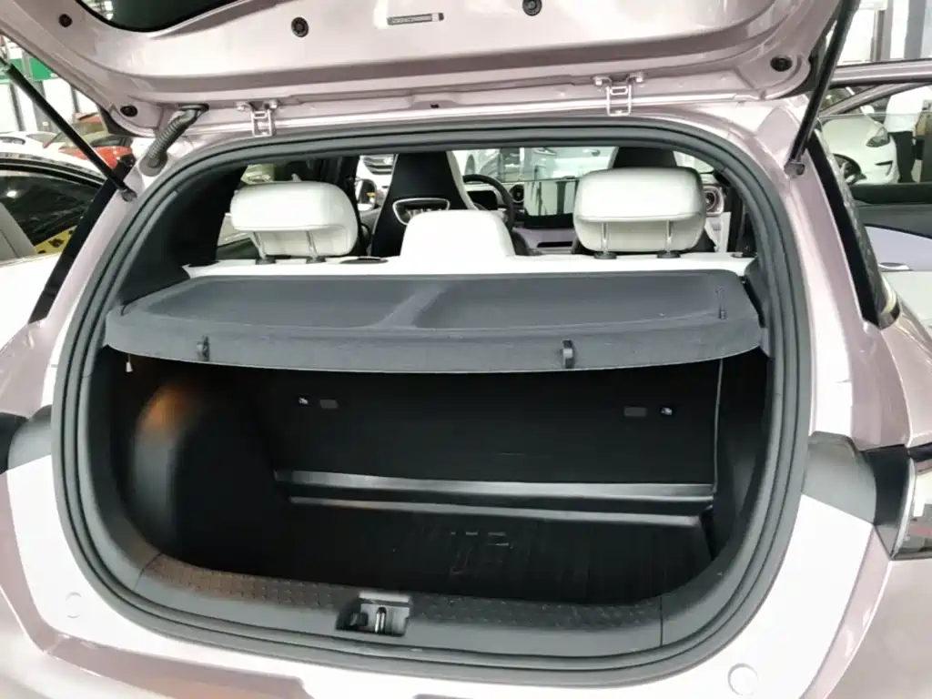BYD Dolphin — миниатюра 19