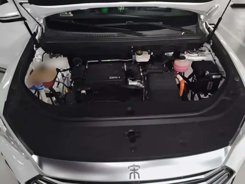 BYD Pro New Energy — миниатюра 21