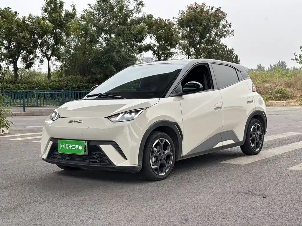 BYD Seagull