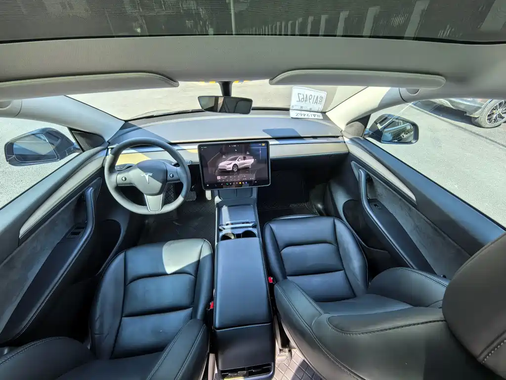 Tesla Model Y — миниатюра 5