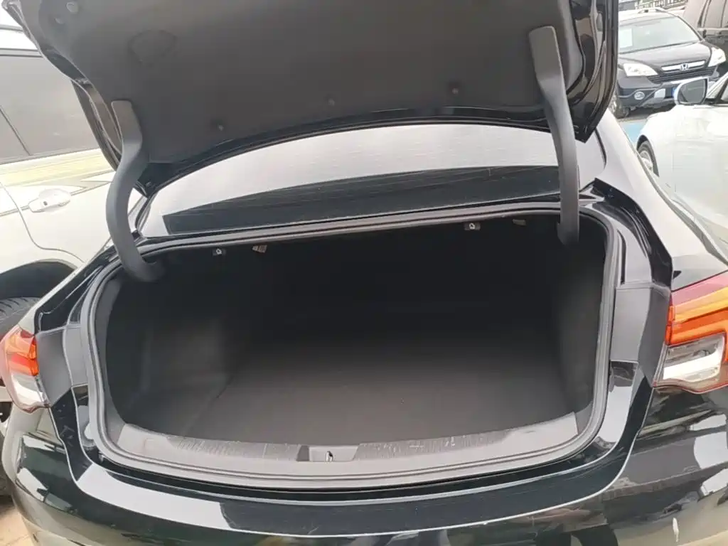 Buick Regal — миниатюра 19