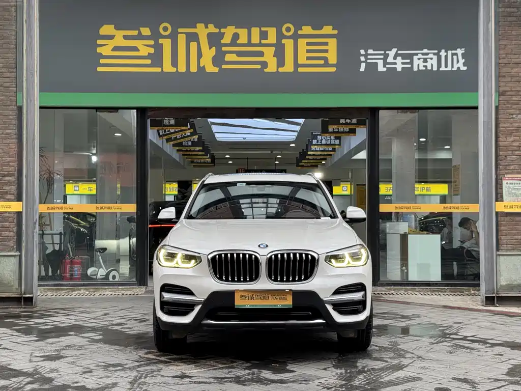 BMW X3 — миниатюра 2