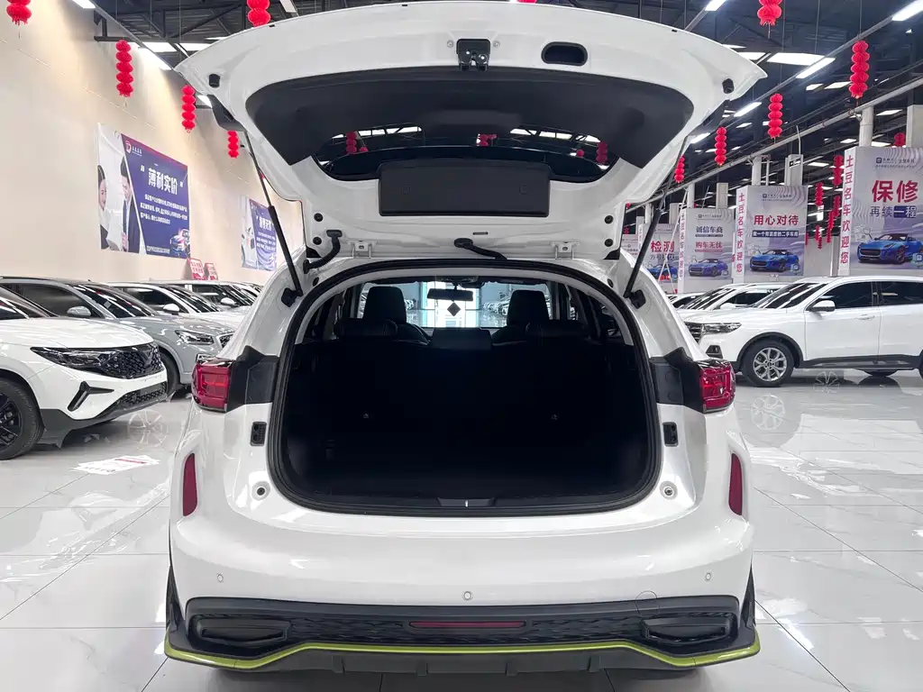 Haval Chitu — миниатюра 14