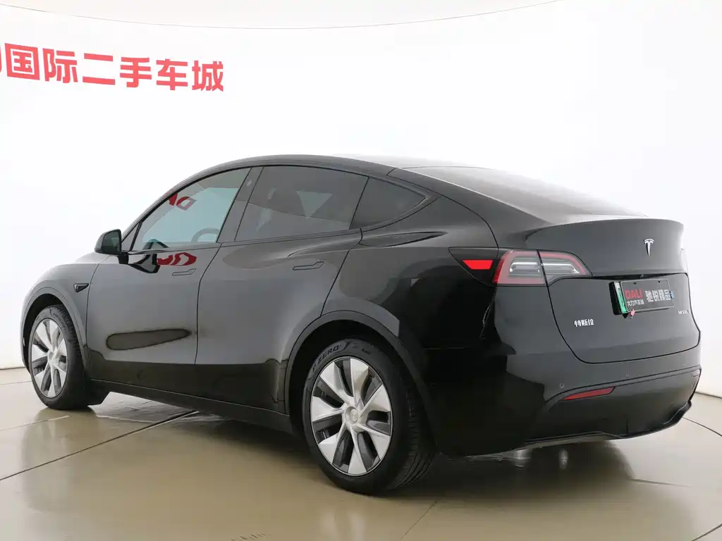 Tesla Model Y — миниатюра 9