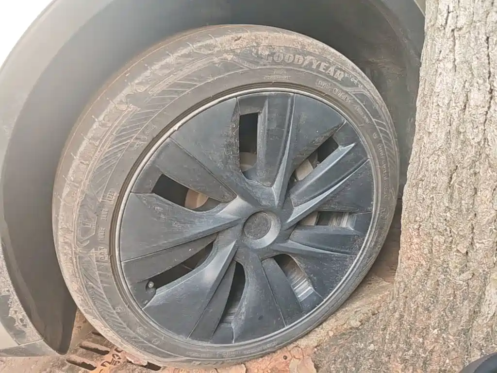 Tesla Model Y — миниатюра 23