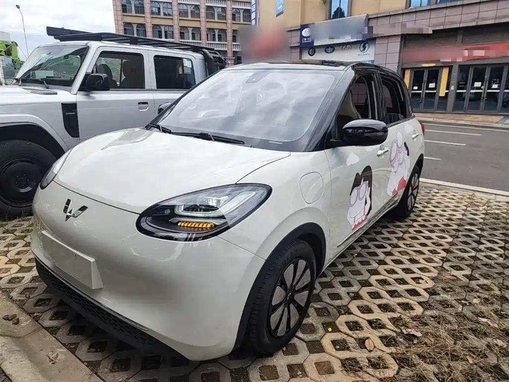 Wuling Binguo 2023 333km Delight