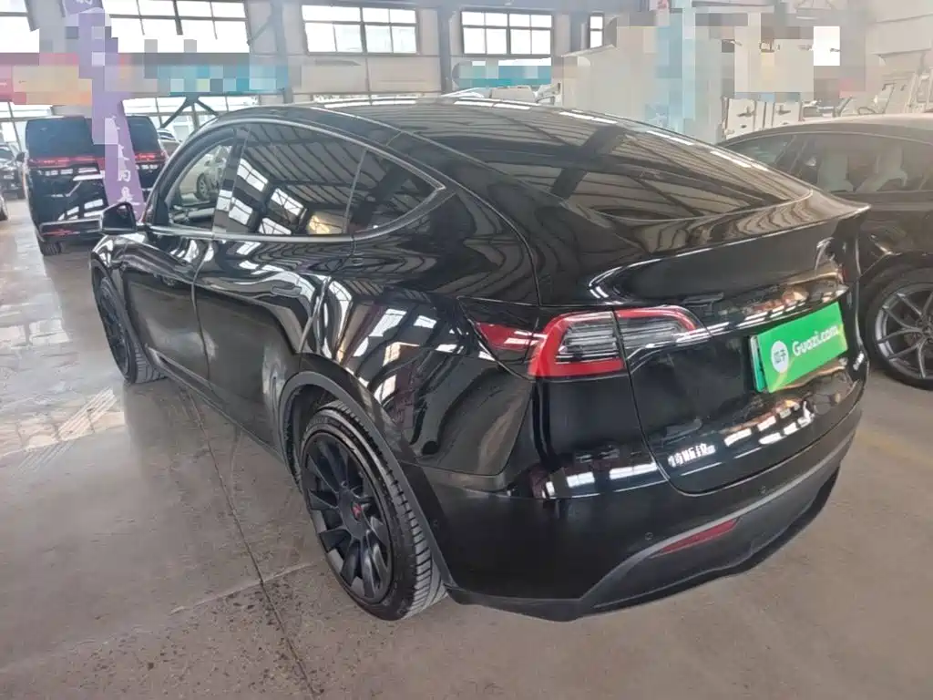 Tesla Model Y — миниатюра 5
