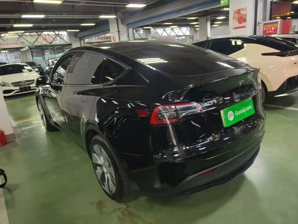 Tesla Model Y — миниатюра 5