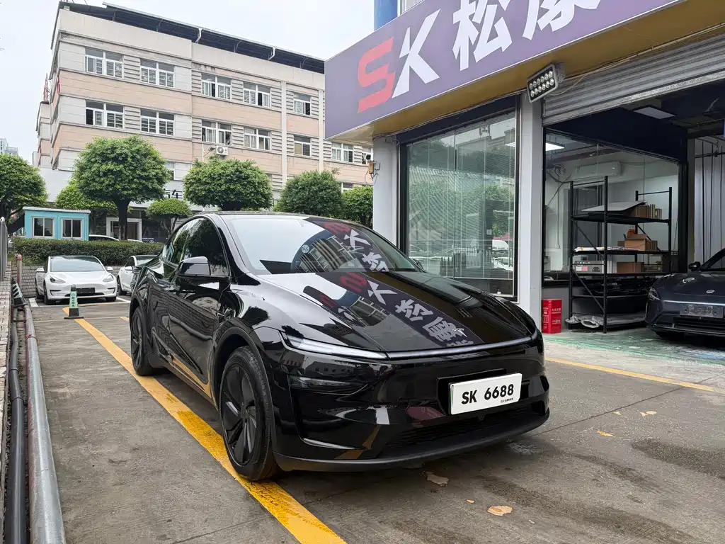 Tesla Model Y — миниатюра 3
