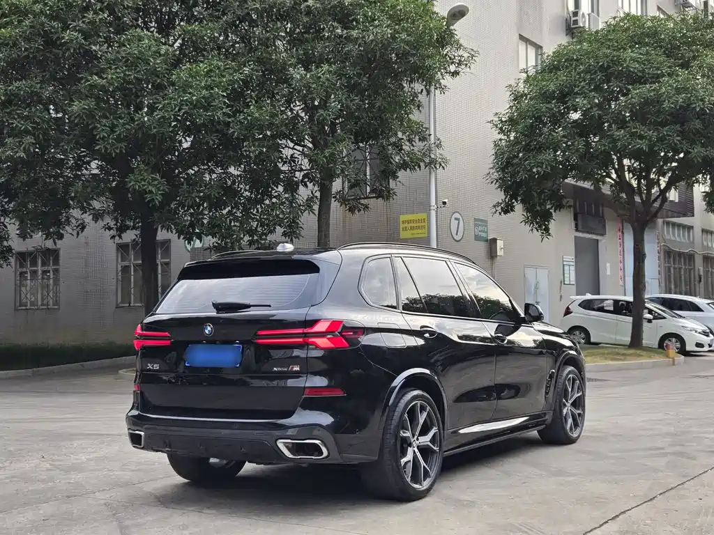 BMW X5 — миниатюра 9