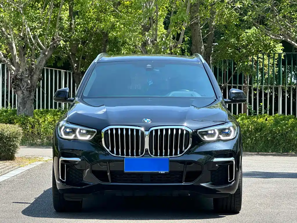 BMW X5 — миниатюра 2