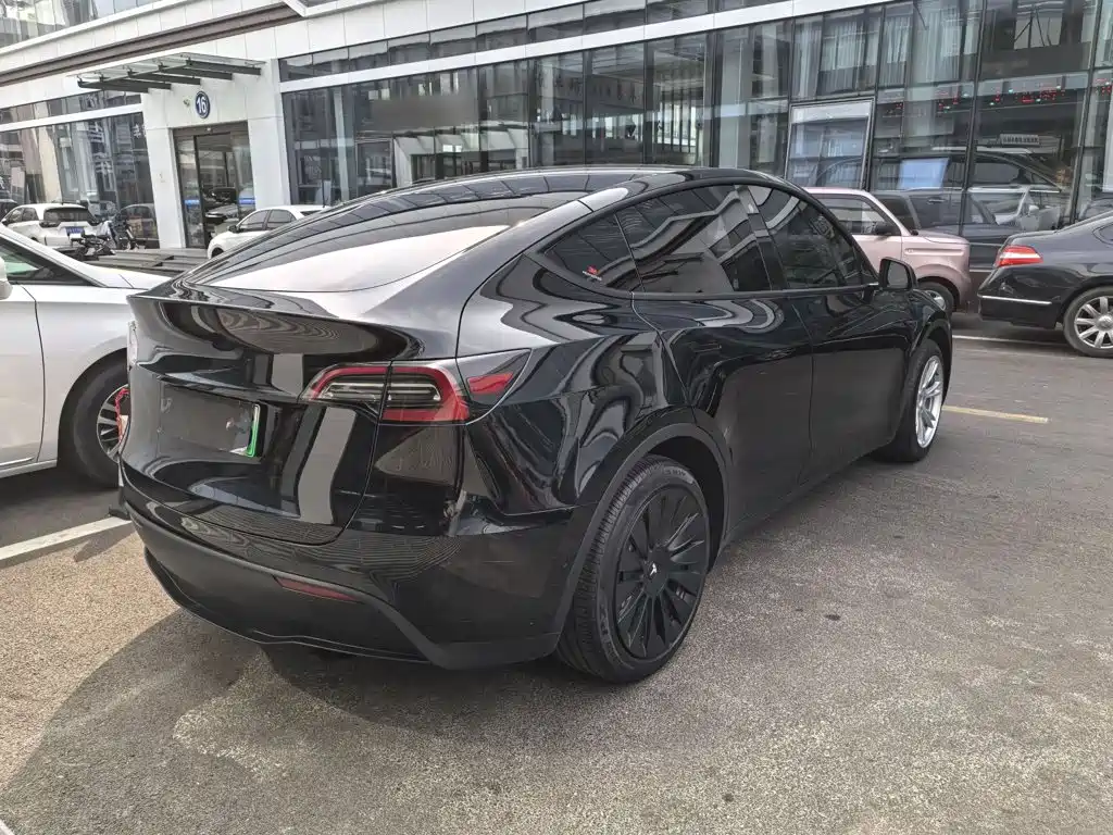 Tesla Model Y — миниатюра 7