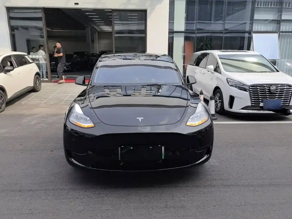 Tesla Model Y — миниатюра 3