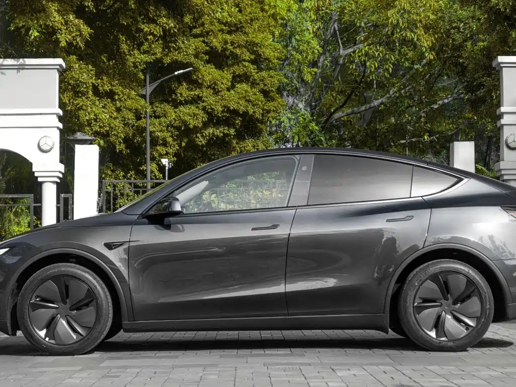 Tesla Model Y — миниатюра 7