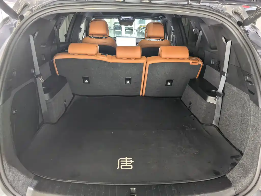 BYD Tang New Energy — миниатюра 17