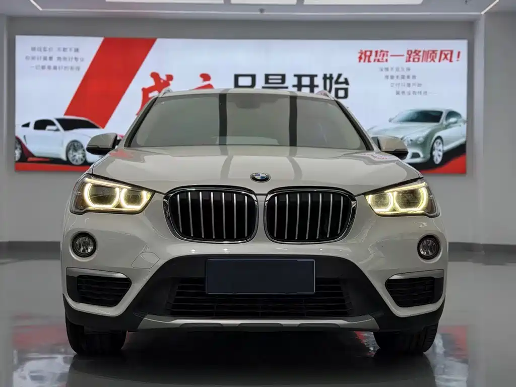 BMW X1 — миниатюра 2