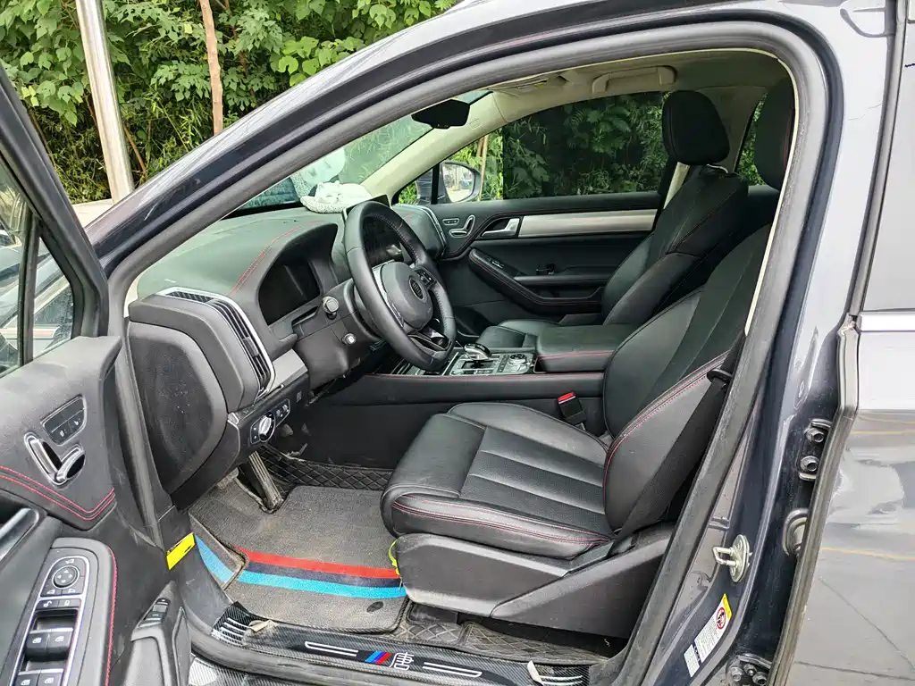 BYD Tang New Energy — миниатюра 7