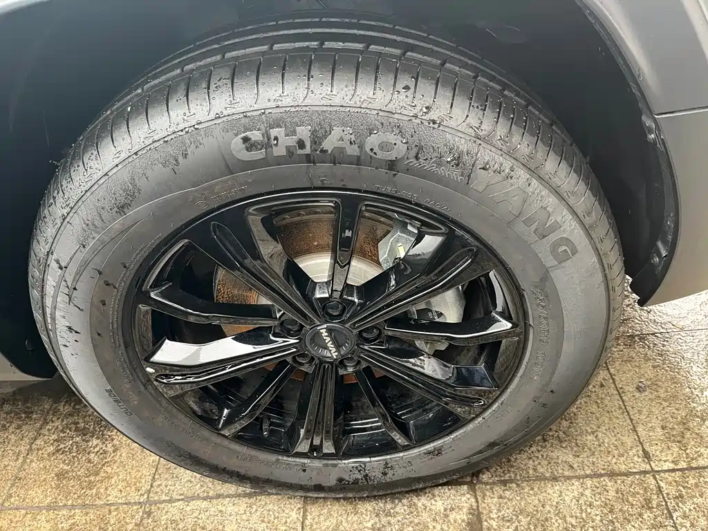 HAVAL RAPTORS NEW ENERGY