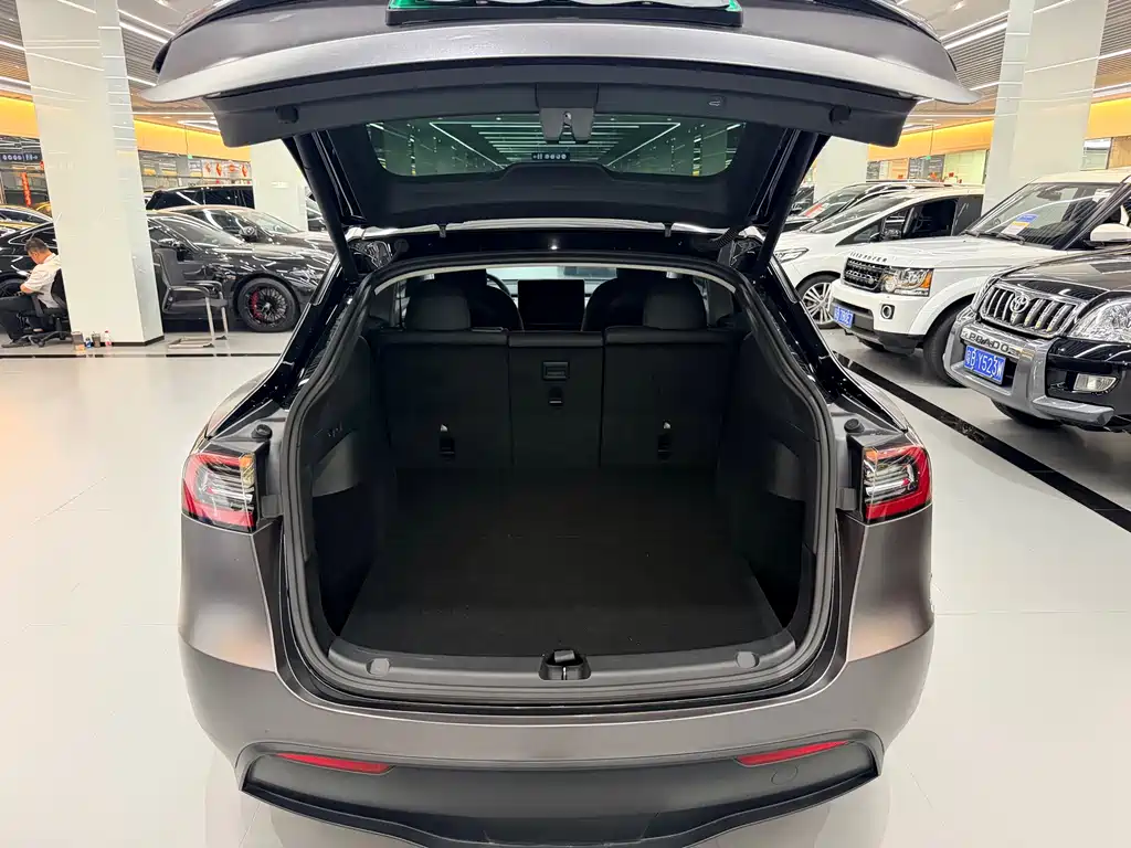 Tesla Model Y — миниатюра 8
