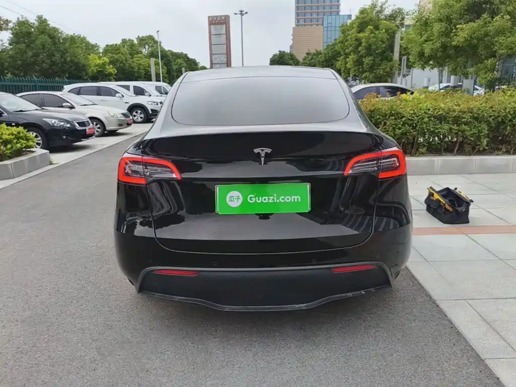 Tesla Model Y — миниатюра 6