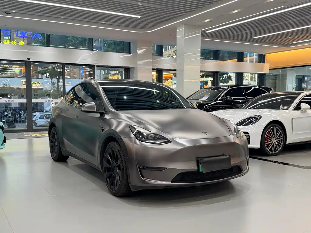 Tesla Model Y — миниатюра 3