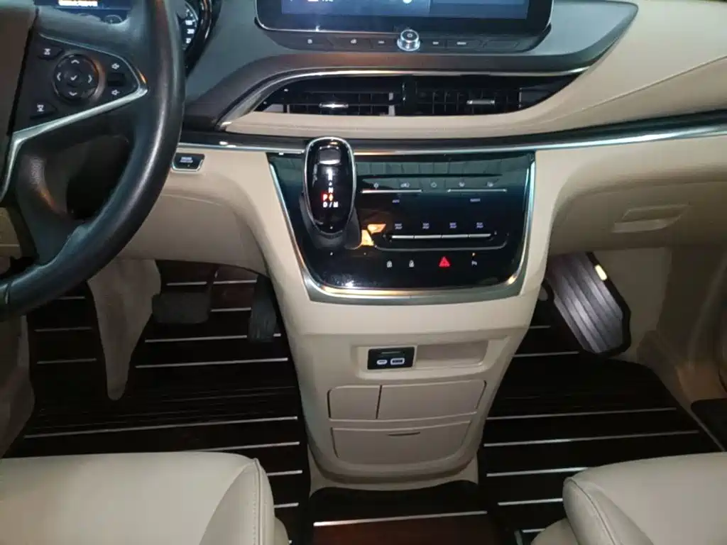Buick GL8 — миниатюра 14