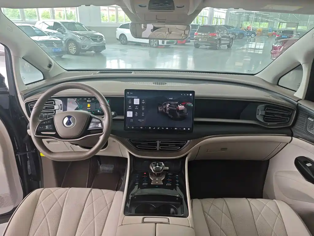 Denza Denza D9 — миниатюра 10
