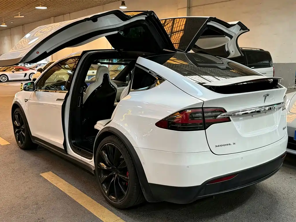 Tesla Model X — миниатюра 3
