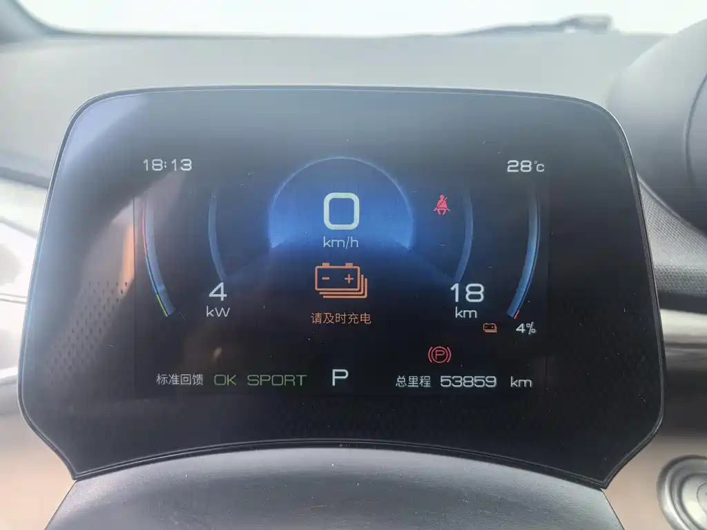 BYD Dolphin 2023 420km Fashion