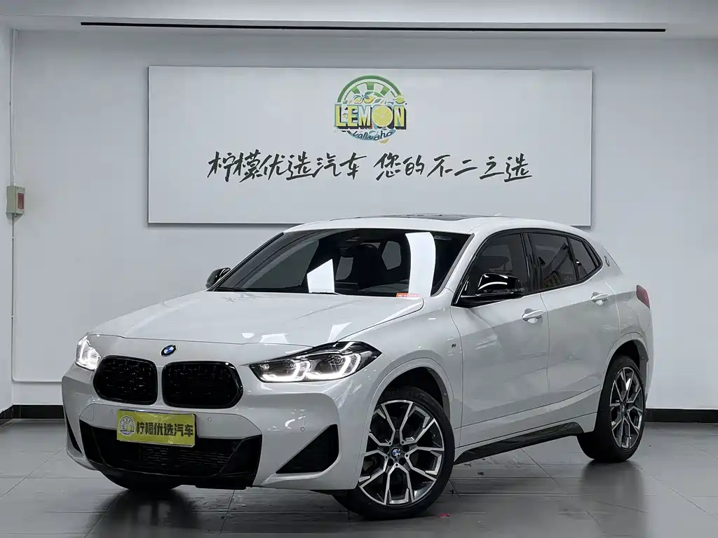 BMW X2 — миниатюра 2