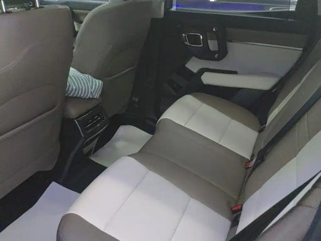 Haval Big Dog PLUS New Energy — миниатюра 17